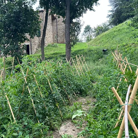 Monte Cuccolo House Alojamento de Acomodação e Pequeno-almoço Fontanelice