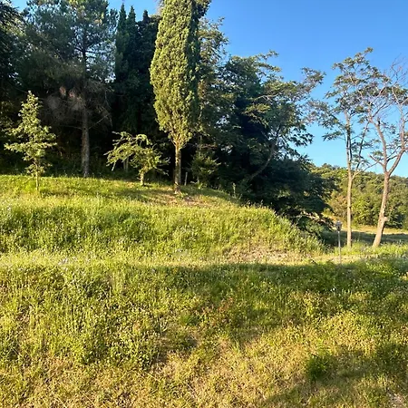 Monte Cuccolo House Bed & Breakfast *