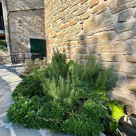 Bed & Breakfast Monte Cuccolo House Fontanelice