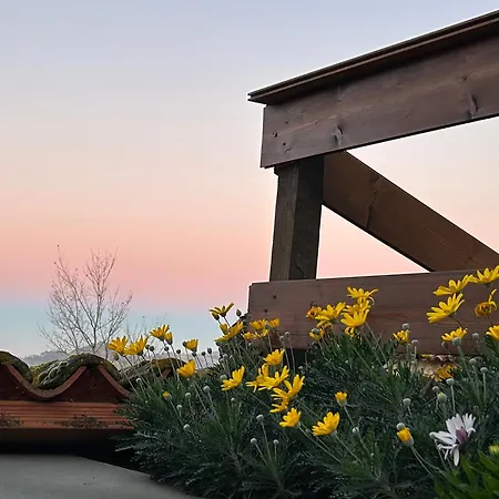 Bed & Breakfast Monte Cuccolo House *