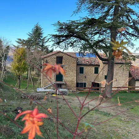 Bed & Breakfast Monte Cuccolo House