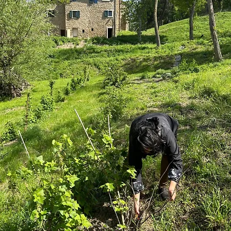 Bed & Breakfast Monte Cuccolo House *