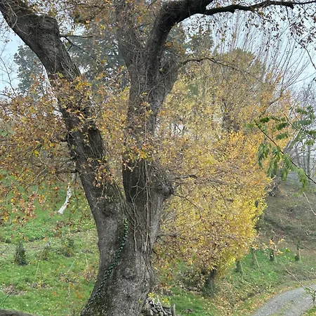 Bed & Breakfast Monte Cuccolo House Fontanelice