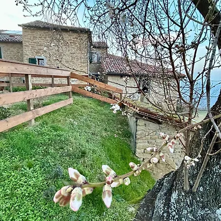 Monte Cuccolo House Fontanelice