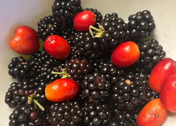 Monte Cuccolo House Bed & Breakfast