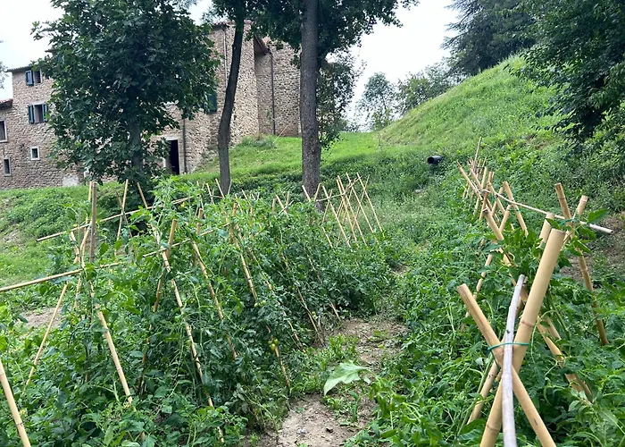 Monte Cuccolo House Alojamento de Acomodação e Pequeno-almoço Fontanelice