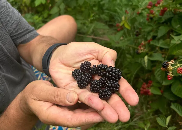 Bed & Breakfast Monte Cuccolo House Fontanelice