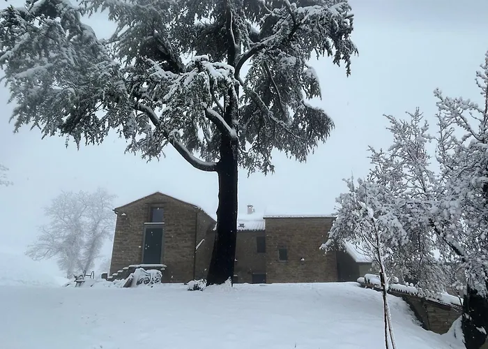 Monte Cuccolo House Отель типа 