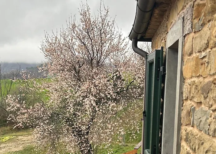 Bed & Breakfast Monte Cuccolo House Fontanelice