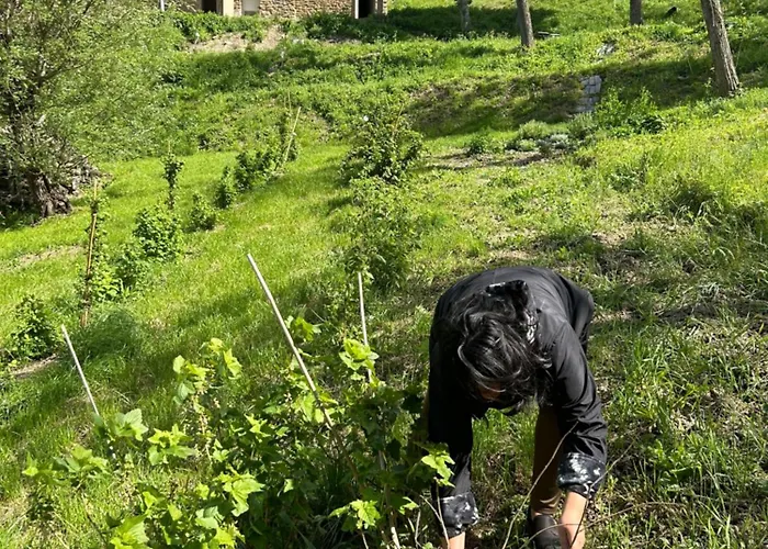 Bed & Breakfast Monte Cuccolo House *