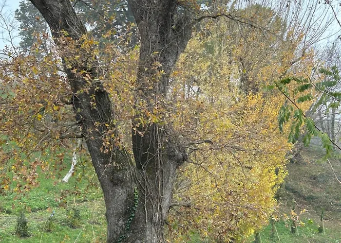 Bed & Breakfast Monte Cuccolo House Fontanelice