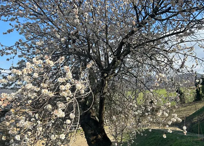 Bed & Breakfast Monte Cuccolo House *